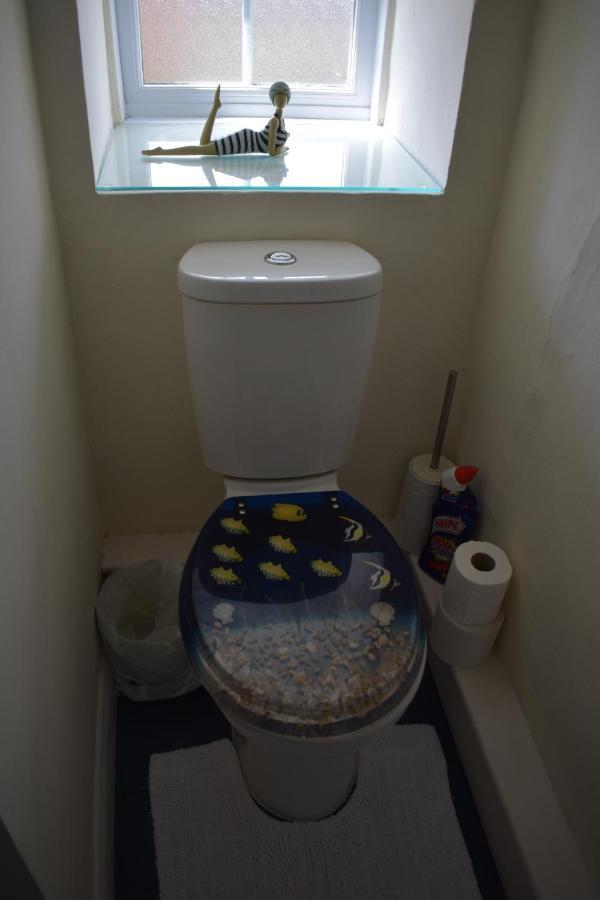 Froglets Apartment Tregoney Luaran gambar